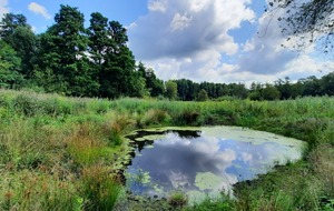 Autour de Sonchamp