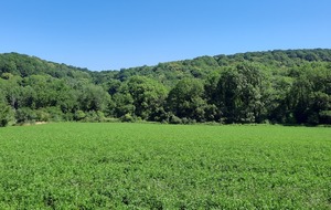 Autour de Dampierre (78)