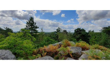 Randonnée autour de Champcueil et de la foret des Grands Avaux - 30 Juillet 2023