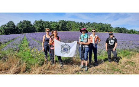 Randonnée autour de Le Vaudoué Sur les Traces des Templiers le 14 Juillet 2024