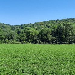 Autour de Dampierre (78)