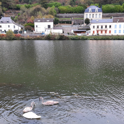 2026 10 18 Autour de Monthermé